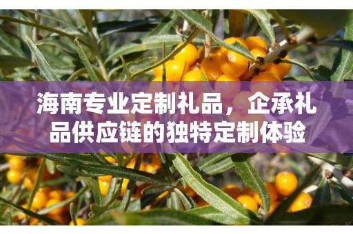 海南专业定制礼品，企承礼品供应链的独特定制体验