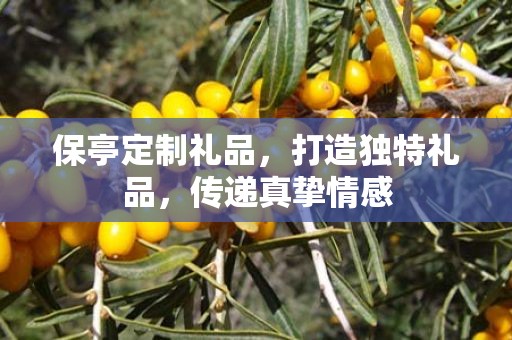 保亭定制礼品，打造独特礼品，传递真挚情感