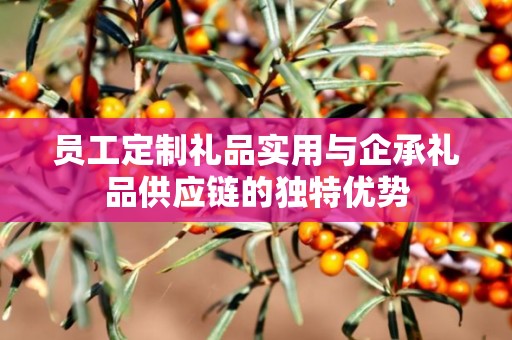 员工定制礼品实用与企承礼品供应链的独特优势